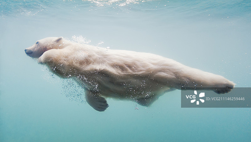 水上芭蕾2图片素材