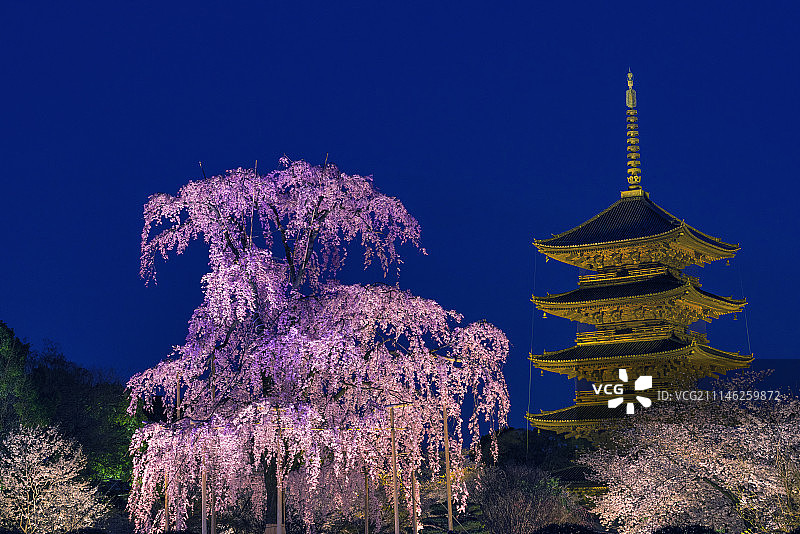 日本京都图片素材