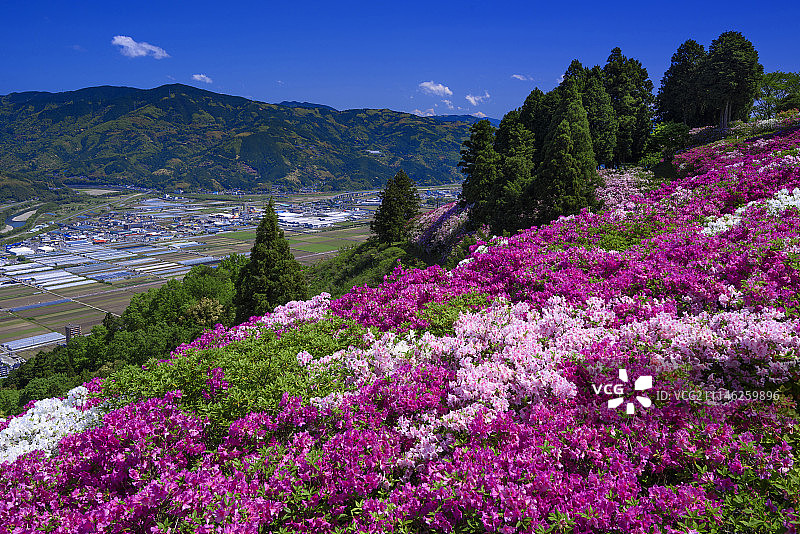 日本爱媛县图片素材