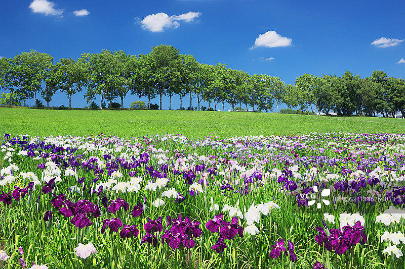 日本北海道图片素材