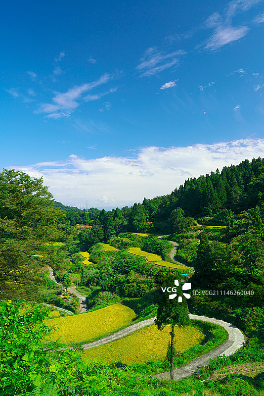 日本新泻县图片素材