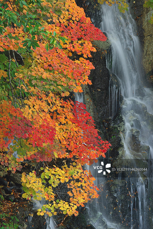 日本青森县图片素材