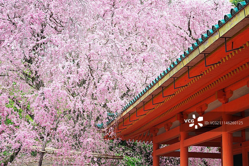 日本京都图片素材