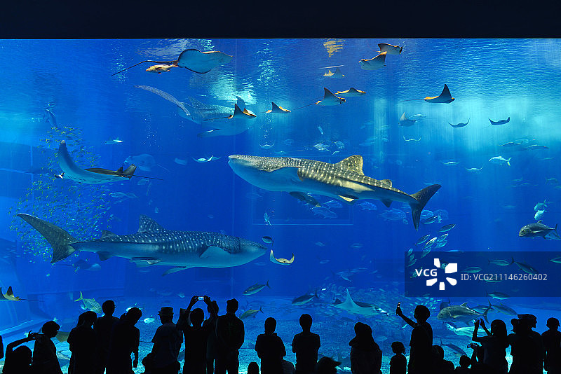 日本冲绳图片素材