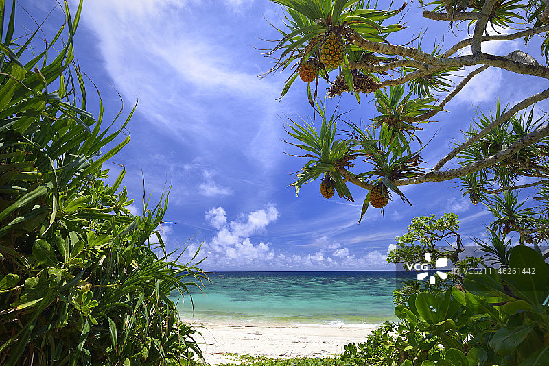 日本冲绳图片素材