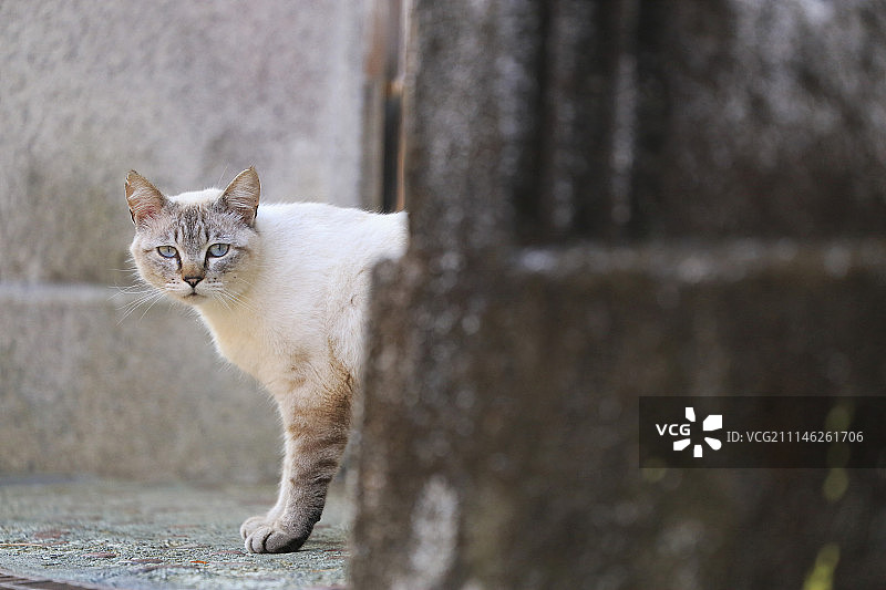 日本三重县图片素材