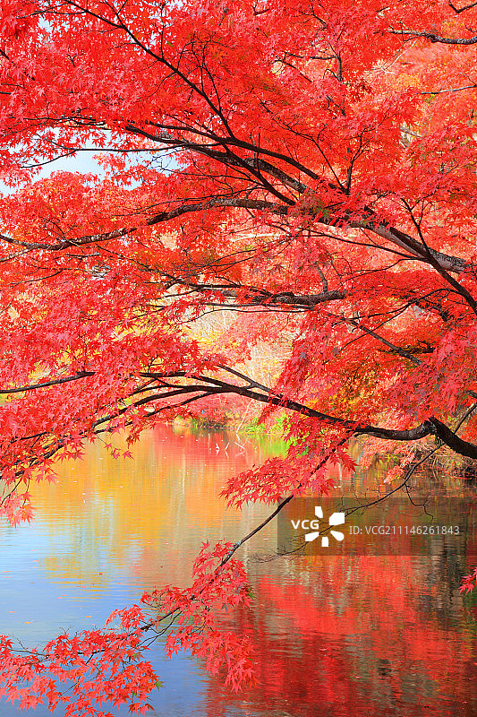 日本长野图片素材