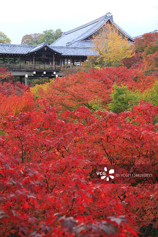 日本京都图片素材