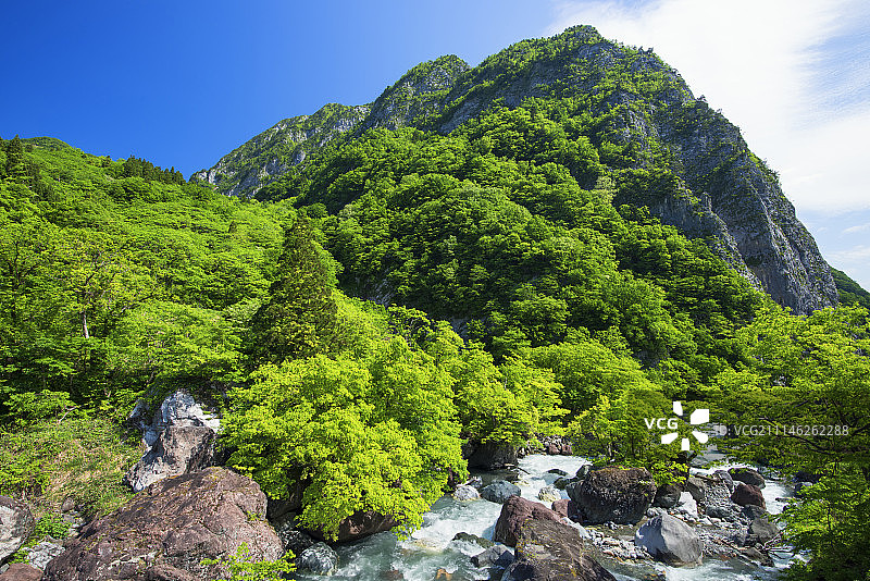 日本新泻县图片素材