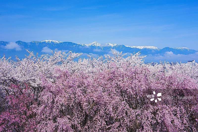 日本长野图片素材