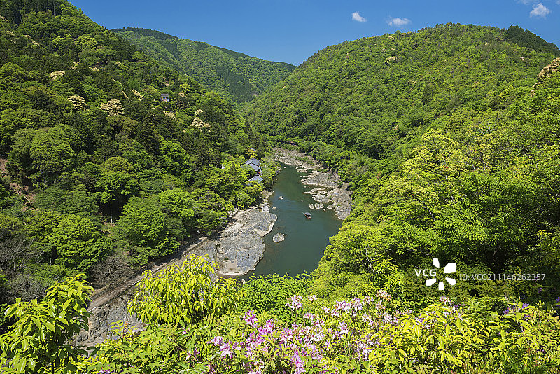 日本京都图片素材