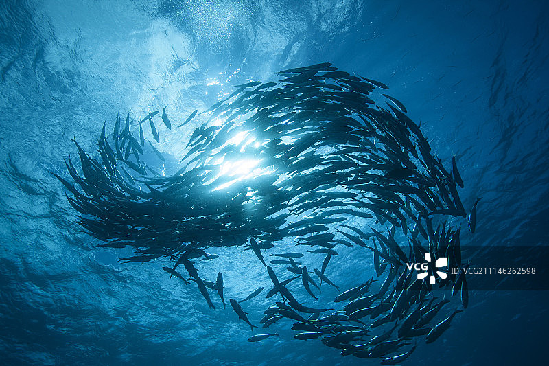 日本冲绳图片素材