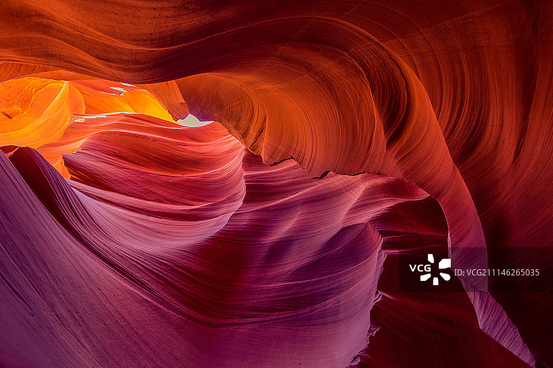 在羚羊中...图片素材