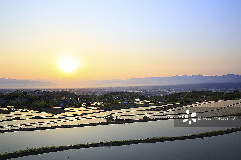 日本山梨县的稻田图片素材