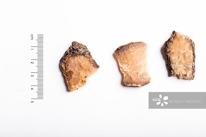 制 白附子图片素材