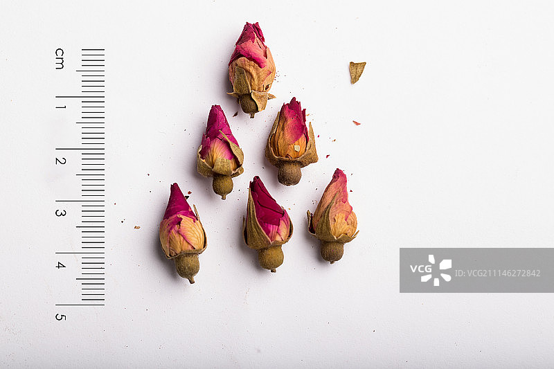 玫瑰花图片素材