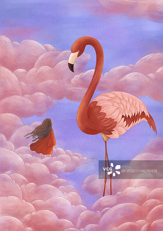 遇见-火烈鸟图片素材