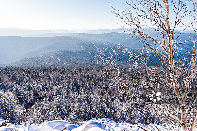 伊春小兴安岭雪淞风车冬景图片素材