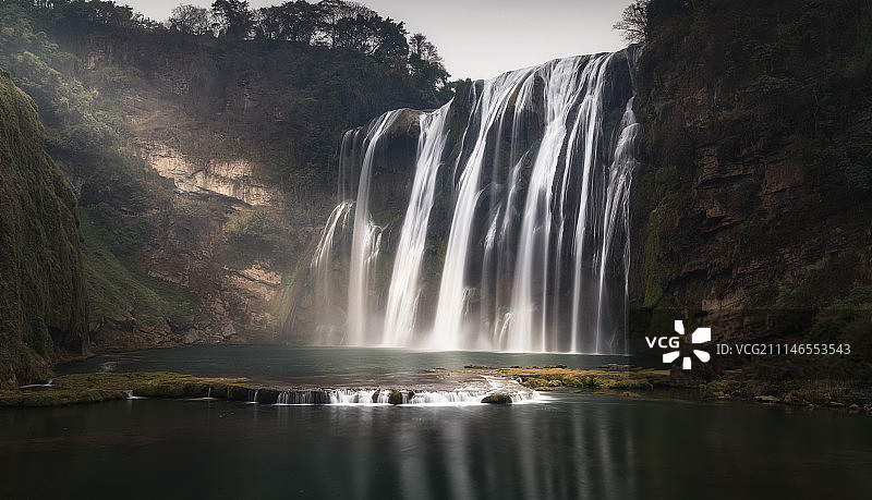 冬日黄果树图片素材