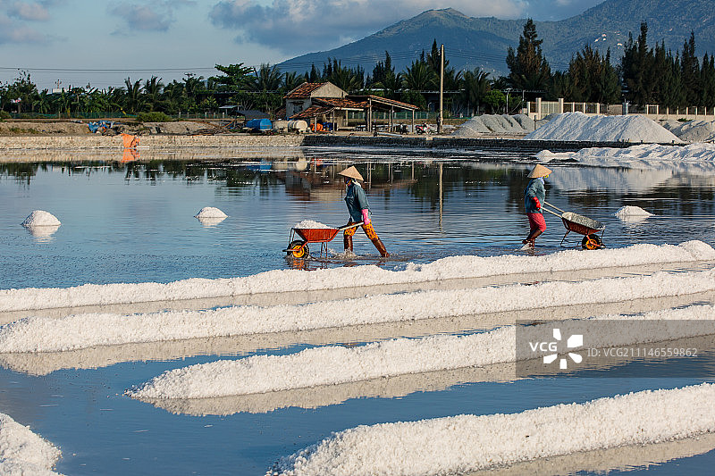 《盐田》图片素材