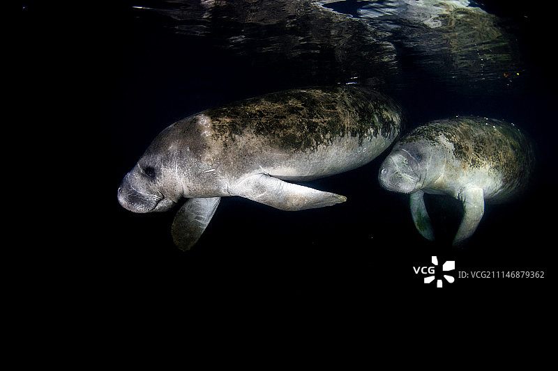 温柔的旅行者图片素材