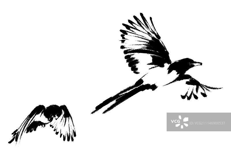 喜鹊墨水画图片素材