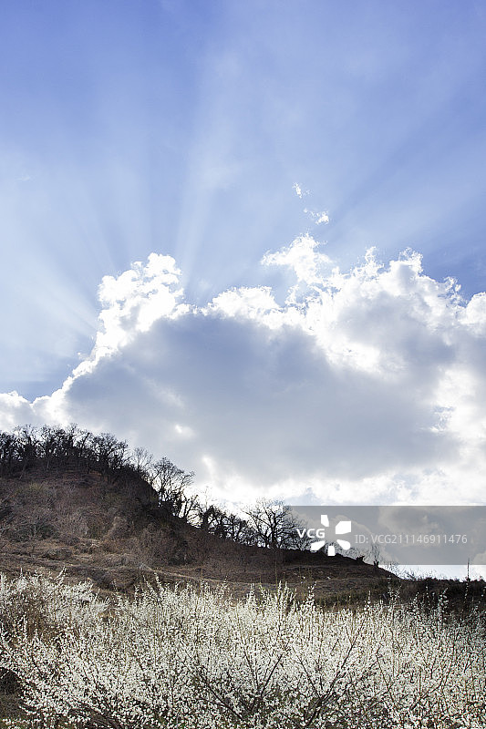 春季的自然风光摄影图片素材
