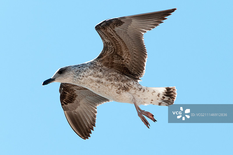 塔巴卡岛图片素材