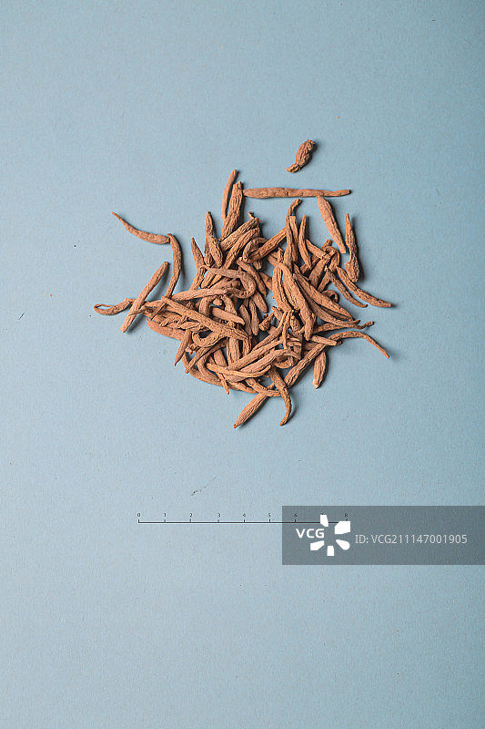 太子参图片素材