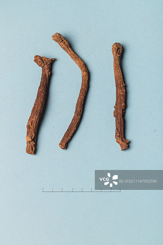 板蓝根图片素材