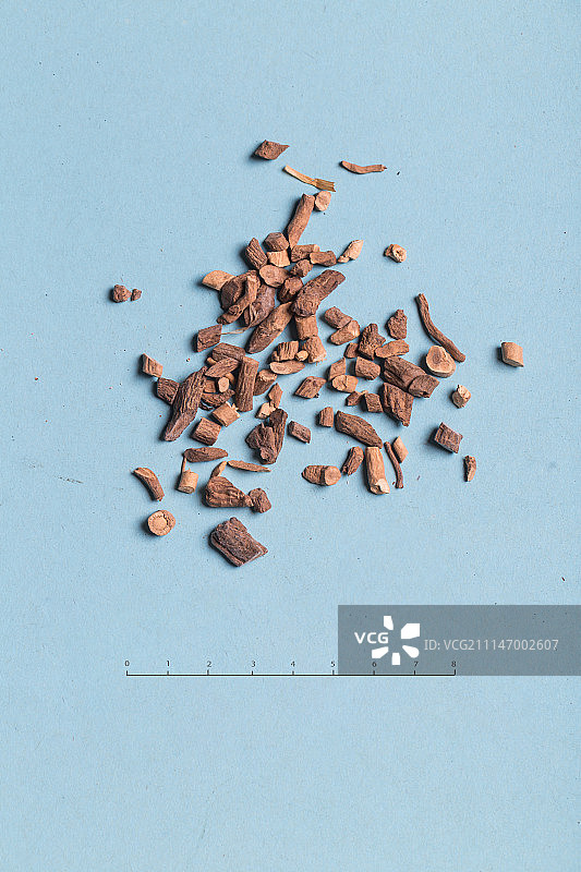 板蓝根图片素材