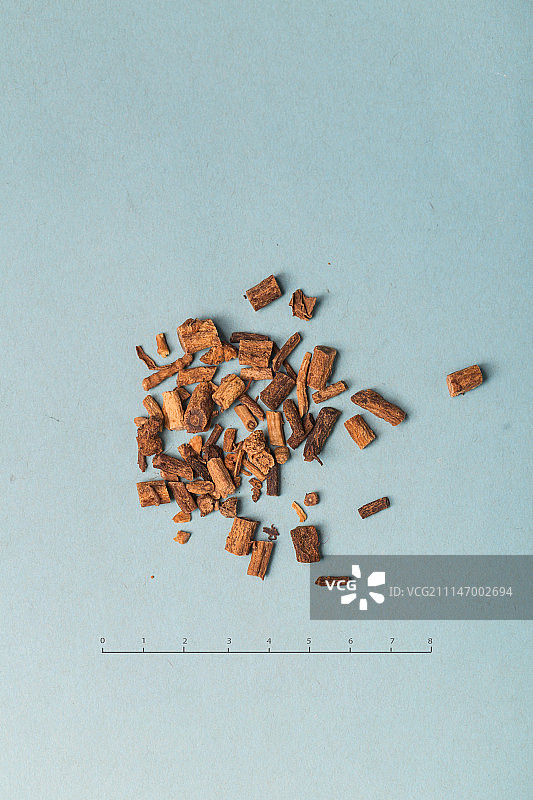 北沙参图片素材