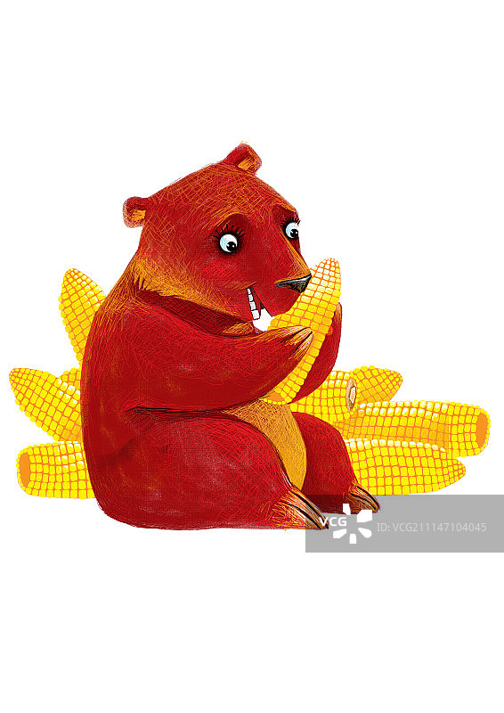 背景分离动物系列组图共3000多幅-吃玉米的熊图片素材