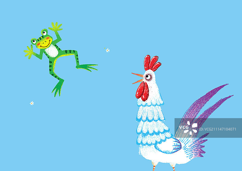 背景分离动物系列组图共3000多幅-青蛙和公鸡图片素材