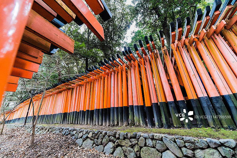 信仰之龙图片素材