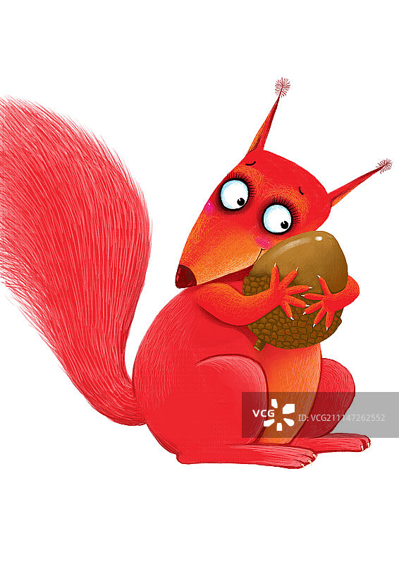 背景分离动物系列组图共3000多幅-抱着松果的红松鼠图片素材