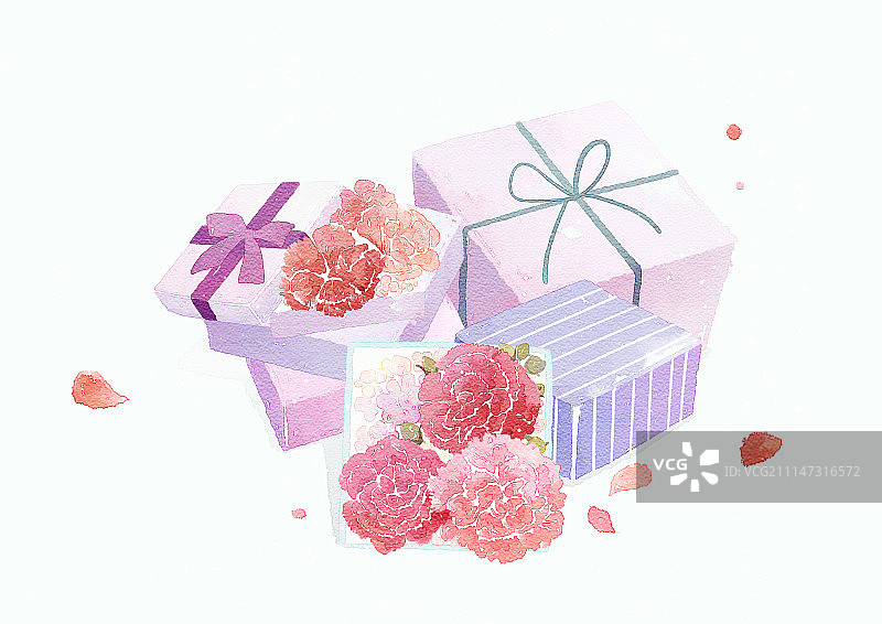 水彩康乃馨，家居月，活动，感谢图片素材
