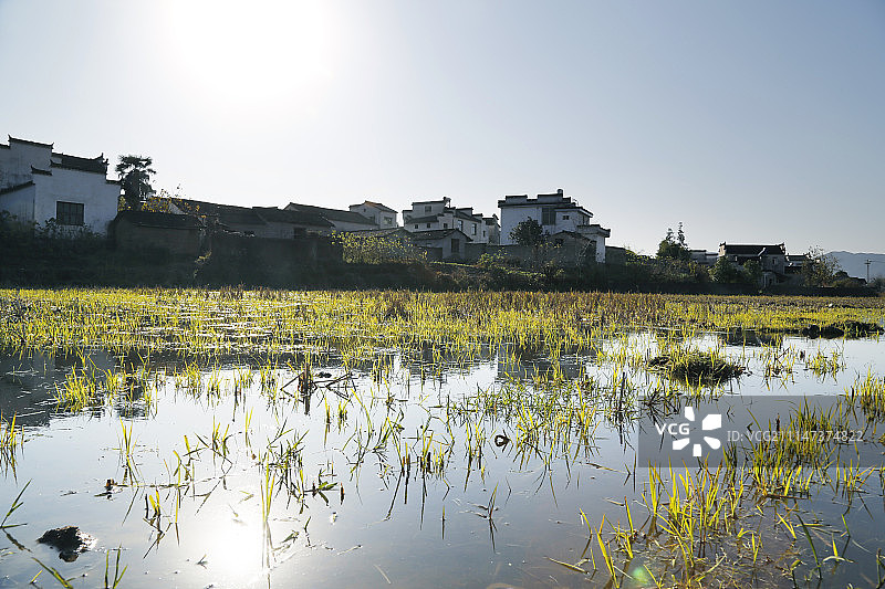 传统村落乡村振兴-安徽黄山市黟县南屏村图片素材