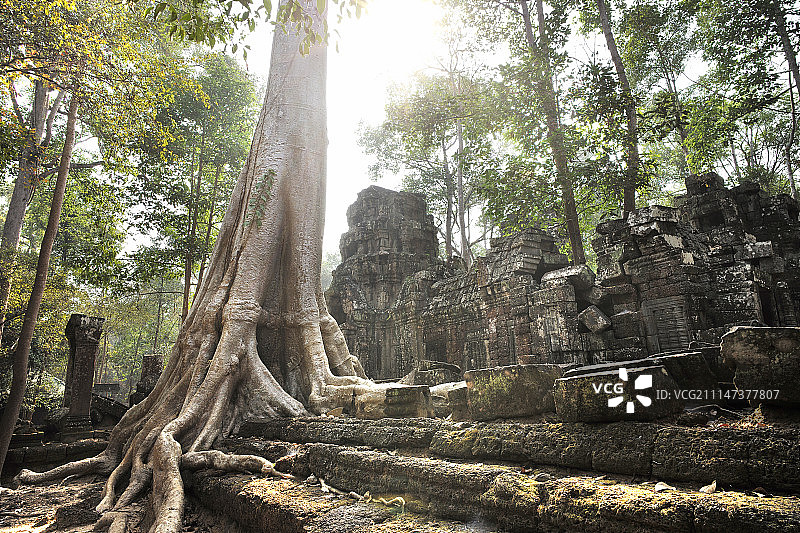 秘境徒步-柬埔寨吴哥窟塔内寺TaNei图片素材