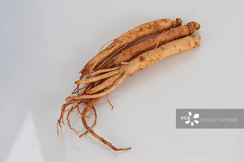 中草药图片素材