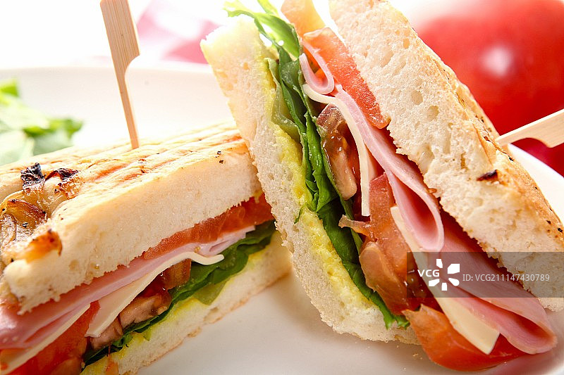 洋葱、番茄、帕尼尼图片素材