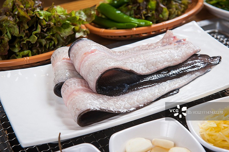 淡水鳗鱼图片素材