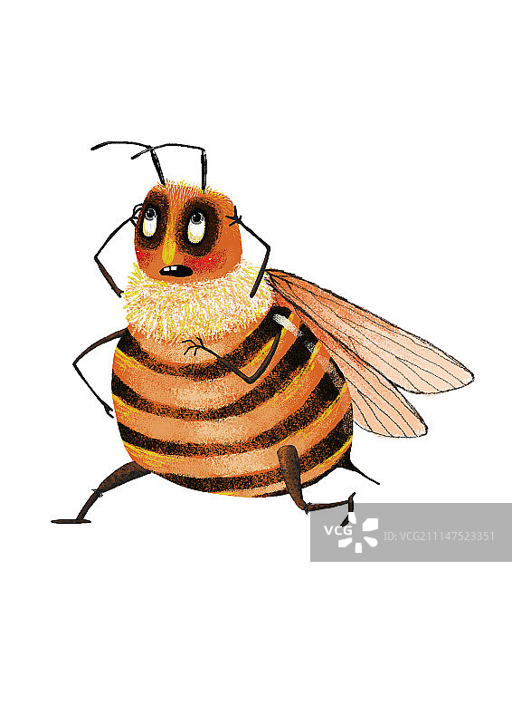 背景分离动物系列组图共3000多幅-抱着头的蜜蜂图片素材