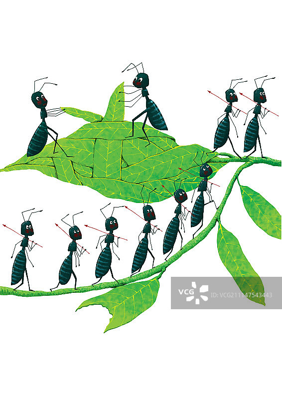 背景分离动物系列组图共3000多幅-蚂蚁系列图片素材