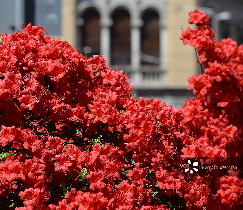 纽约市第五大道图片素材