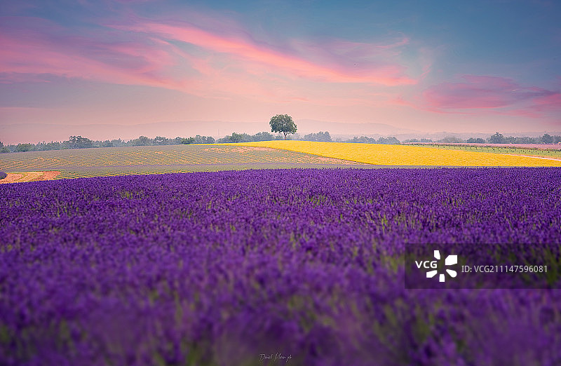 魔法普罗旺斯图片素材