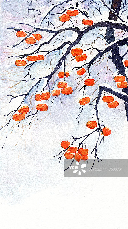 二十四节气——小雪图片素材