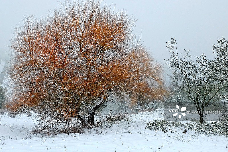冬季色彩图片素材