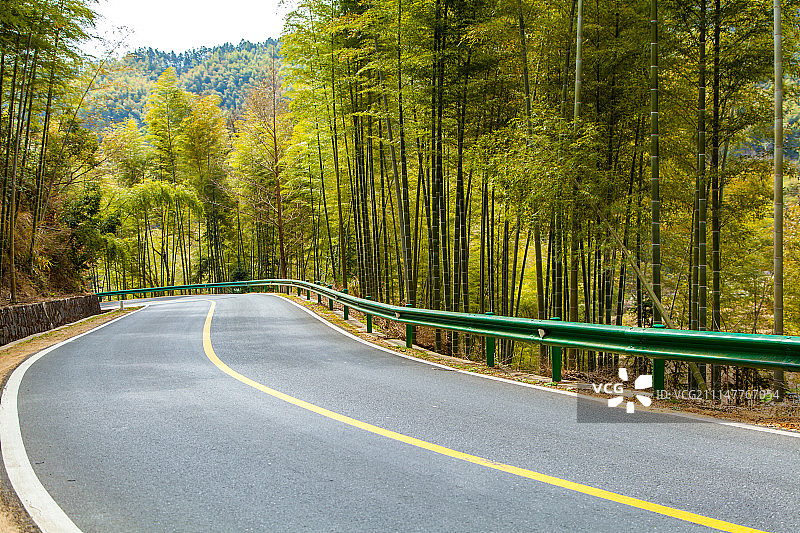 公路穿过茂密竹林图片素材
