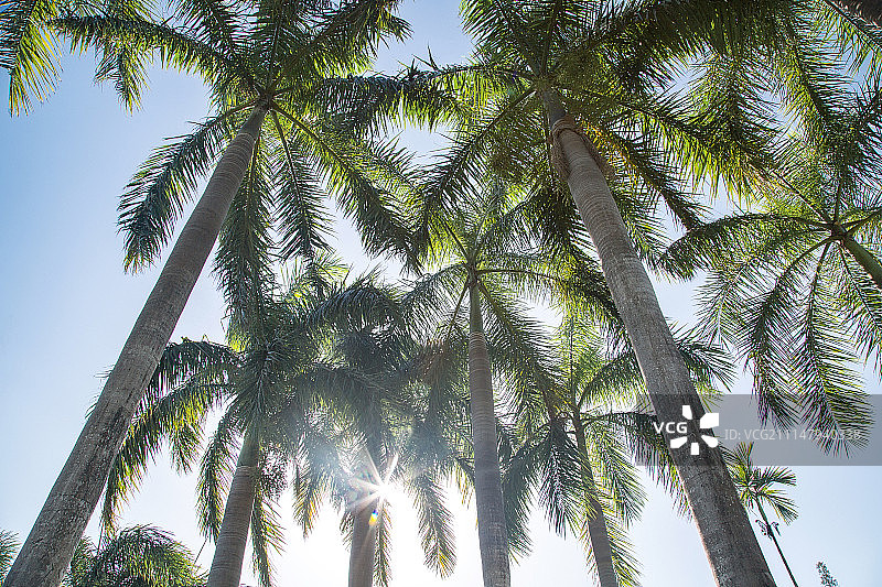 三亚南山小月湾风光图片素材